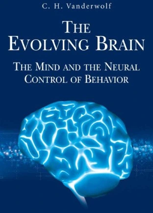 The Evolving Brain The Mind And The Neural