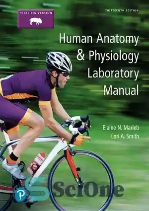 Human Anatomy And Physiology Laboratory Manual