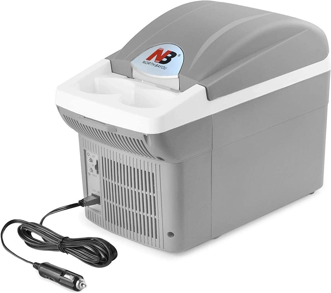 portable electric cooler for car