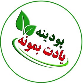 تصویر سبزی تره خشک شده پودینه طبس 400 گرمی 