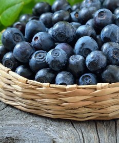 تصویر بلوبری تازه ۱۳۰ گرم 
