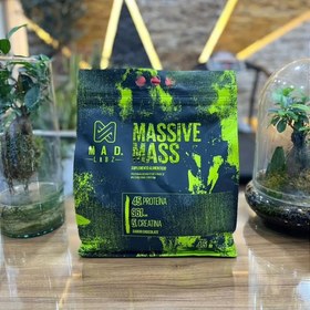 تصویر گینر مس مد لبز ۴.۵ کیلوگرم 