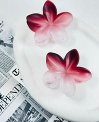 تصویر کلیپس پلومریای جیردورنگ - قهوه ای پر 