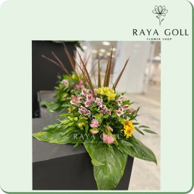 تصویر کوپه گل ستاره 