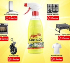 تصویر پاک کننده ساری گوج 