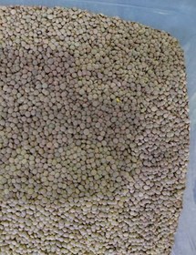 تصویر عدس درشت Lentil