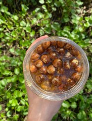 تصویر معجون عسل طبیعی و مغز فندق بمب انرژی 300 گرمی