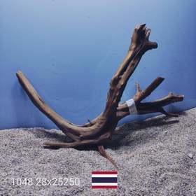 تصویر ریشه آبنوس کد1048 ارسال این ریشه رایگان می باشد