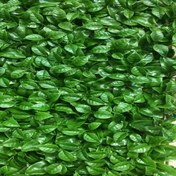 تصویر چمن مصنوعی گرین وال برگ پرتقالی 