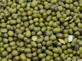 تصویر ماش فله ای 