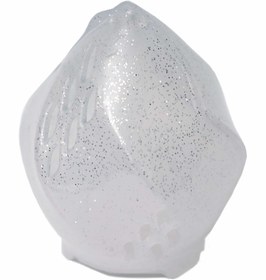 تصویر کیس گلوریا شاینی 