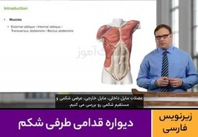 تصویر آموزش دیواره قدامی طرفی شکم 