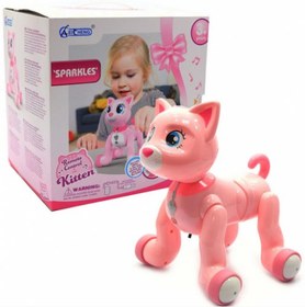 تصویر گربه کنترلی 