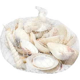 تصویر صدف تزئینی دریایی Mixed decorative oysters