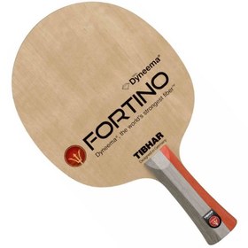 تصویر فورتینو فورس 