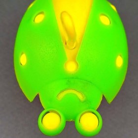 تصویر چهل گیس کفشدوزک 