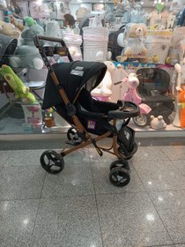 تصویر کالسکه دلیجان مدل بنیتا 