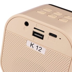 تصویر اسپیکر بلوتوثی پی نت K12 + میکروفون P-net K12 Wireless Speaker