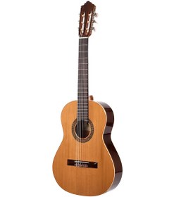 تصویر گیتار آلتامیر مدل N100 