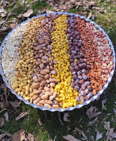 تصویر آجیل اقتصادی 