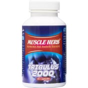 تصویر کپسول تریبولوس ماسل هرب بهتا دارو بسته ۶۰ عددی 