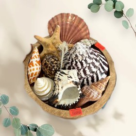 تصویر مجموعه دريايي 