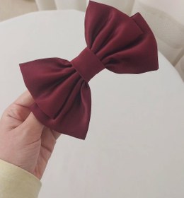 تصویر پاپیون ساتن امریکایی 