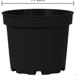 تصویر گلدان ژله‌ای پاچیرا مدل P17 