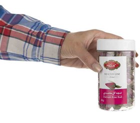 تصویر غنچه گل رز (محمدی) گلستان 