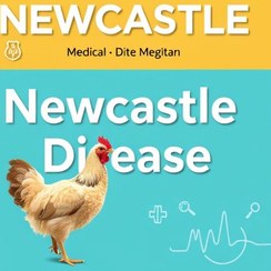 تصویر کتاب بیماری نیوکاسل 