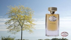 تصویر عطر ادکلن آنجلینا بانوان رایحه لانویت مهزیار 100 میل سندی 