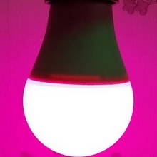 تصویر لامپ رشد گیاه 