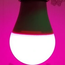 تصویر فروشگاه سیالان