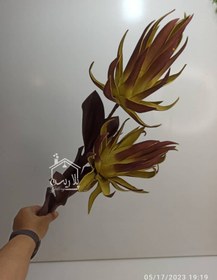 تصویر شاخه فوم شعله دو گل 16054_16055 