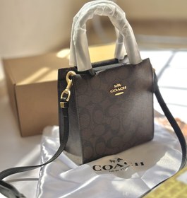 تصویر کیف کوچ ایستاده 