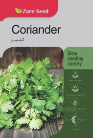 تصویر بذر گشنیز 