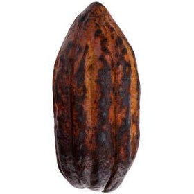 تصویر میوه کاکائو بسته 1 عددی ا Cocoa Fruit, One Cocoa Fruit, One