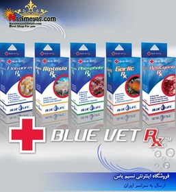 تصویر داروی ضد سیانو باکتری شرکت بلو لایف Blue Life RedCyano Rx