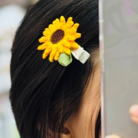 تصویر گیره آفتاب گردون 