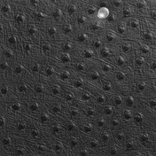 تصویر چرم شتر مرغ OS002 