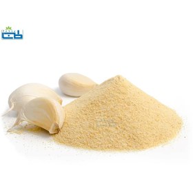 تصویر پودر سیر 50 گرم Garlic Powder