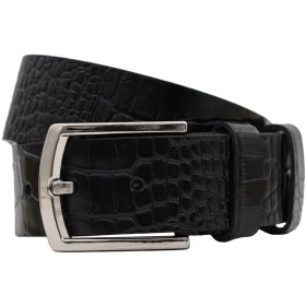 تصویر کمربند R5 