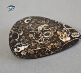 تصویر فسیل توریتلا 5.5 گرم 