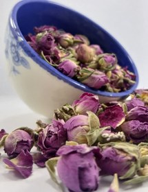 تصویر غنچه گل محمدی 