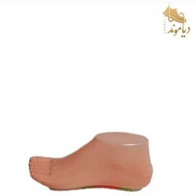 تصویر مانکن کف پا (جفت) 