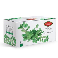 تصویر دمنوش کیسه ای نعناع گلستان بسته 20 عددی Golestan mint bag tea package, 20 pieces