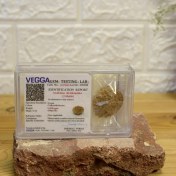 تصویر رودراکشا ۲ موخی تک مهره شناسنامه دار نپالی 