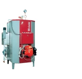 تصویر دیگ بخار ویشی 