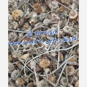 تصویر بابونه اعلاء 