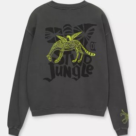 تصویر سویشرت مردانه PULL&BEAR Jungle graphic sweatshirt 